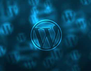 Unsere 10 Lieblingsplugins für WordPress